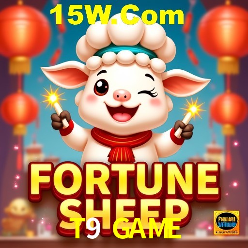 T9 GAME Rio de Janeiro - Bonus Terms