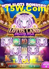 Casino Ao Vivo T9 GAME