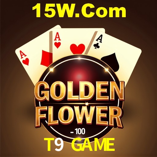 Casino VIP T9 GAME